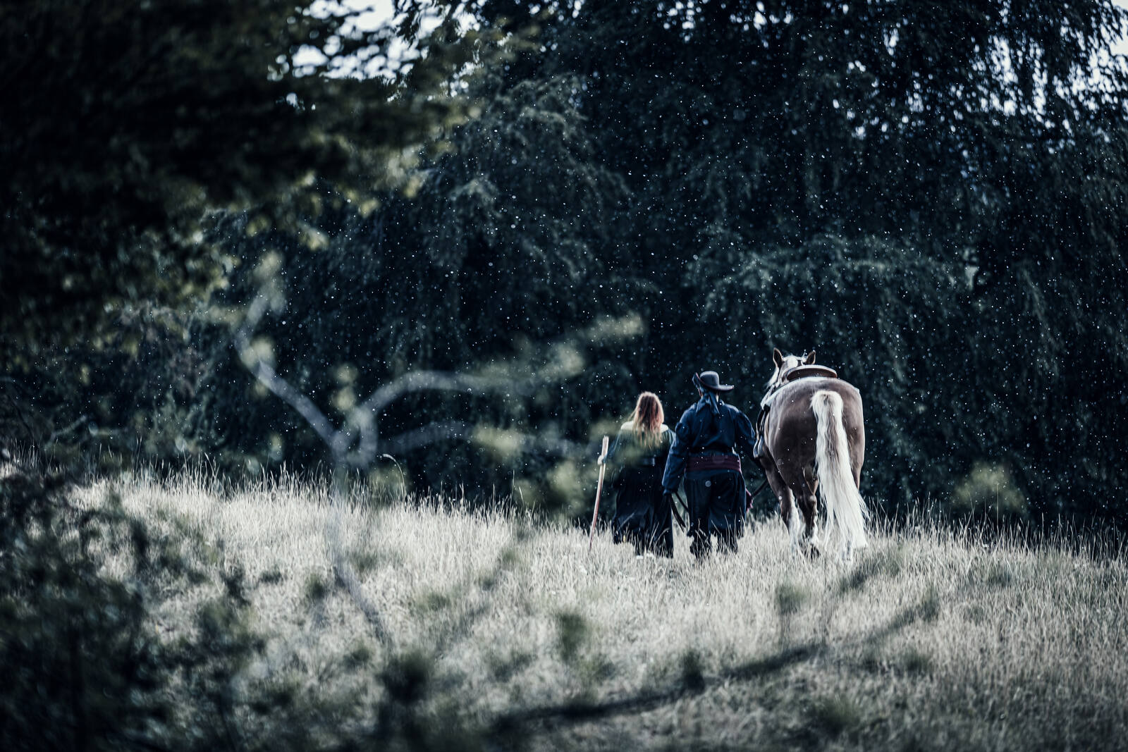 Gruppe mit Pferd am Waldrand im Regen